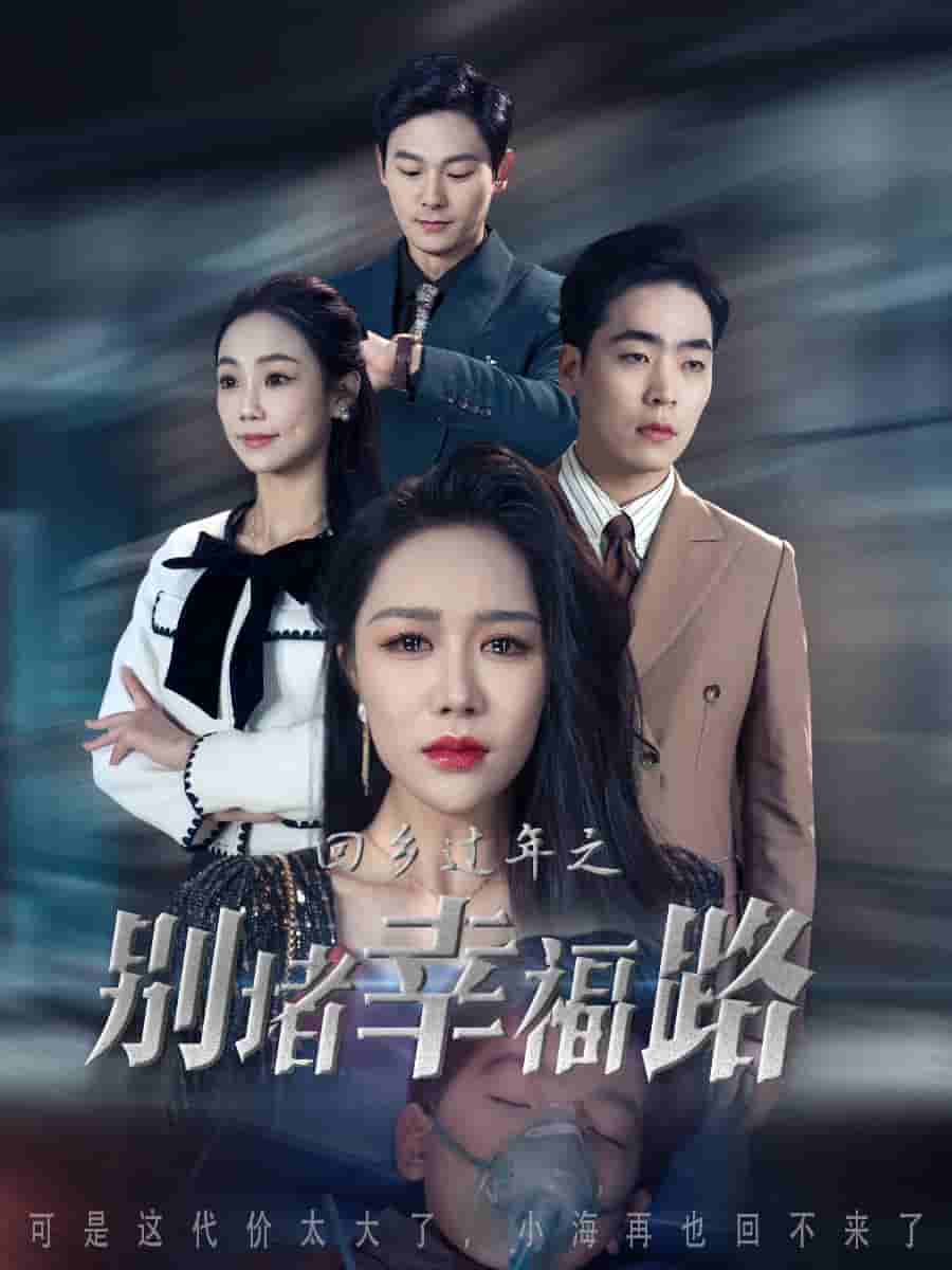蛇年大吉之回家幸福路海报